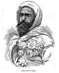 Abdelkader le Magnifique (1808-1883)
