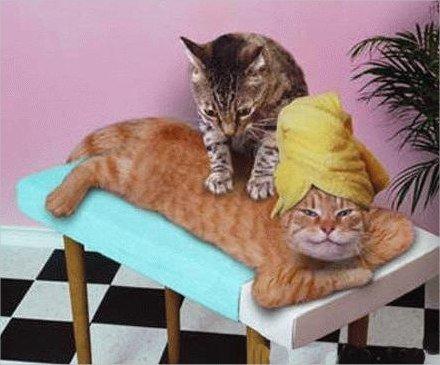 Stress : les bienfaits du massage