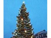 Clermont... beau sapin
