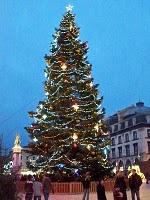 Clermont... beau sapin !!!