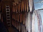 Bernard Baudry (Chinon)