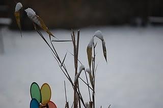 En février de blanc tu t'habilleras