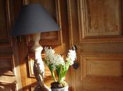 Jacinthes, lampe, poule font déco maison