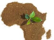 Ki-moon assure l'ONU soutient développement durable Afrique