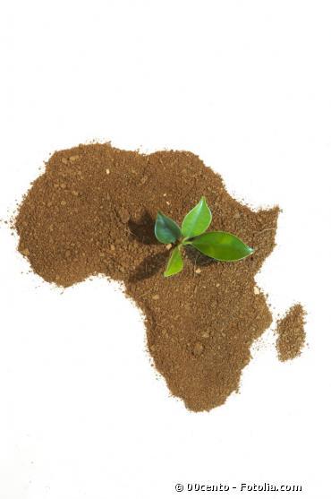 Ban Ki-moon assure que l'ONU soutient le développement durable en Afrique
