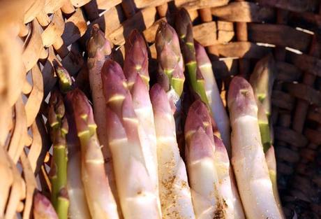 アスパラガス asparagus asparagi asperges espargo