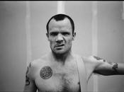 internet killed rock'n roll dream