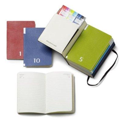 Un Moleskine par mois