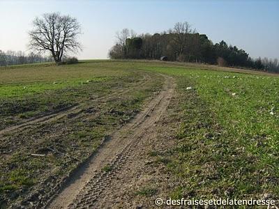 son écorce endormie