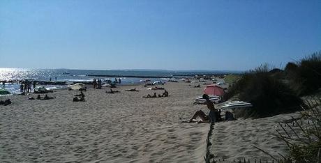 http://www.gayvox.fr/cke/secret-camargue-plage.jpg