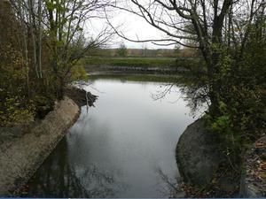 Chômage 2009 sur le CMR : étang de Parroy