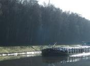 Soleil et...vitamines