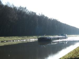 Soleil et...vitamines