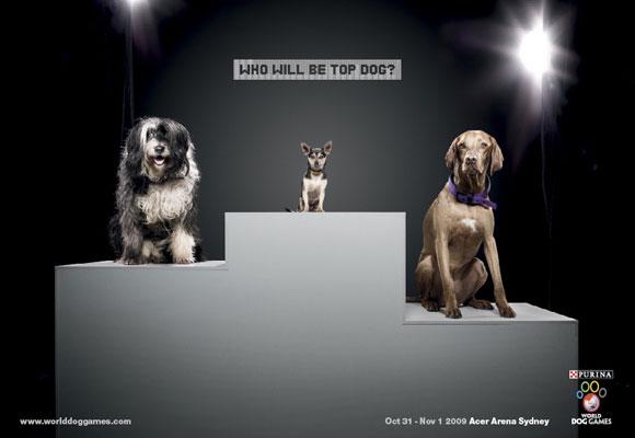 Excellentes publicités imprimées utilisant des animaux
