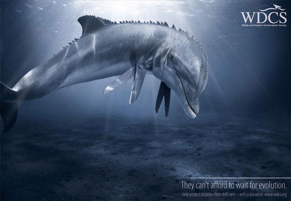 Excellentes publicités imprimées utilisant des animaux