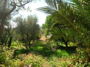 meteo à bandol en octobre