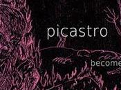 Picastro Become Secret