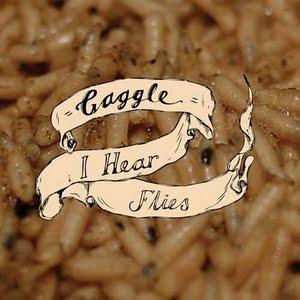// GAGGLE - I Hear Flies (7'')