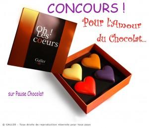 concours pause chocolat 1 a 300x259 Concours 1er anniv ! Pour lAmour du chocolat...