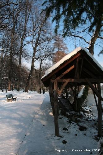 Photos-lundi-ter 4174