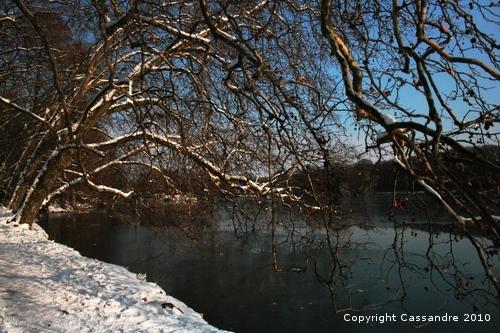 Photos-lundi-ter 4186