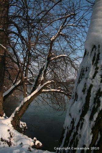 Photos-lundi-ter 4182