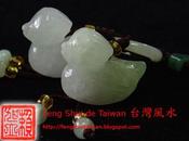 canards Mandarins dans Feng Shui