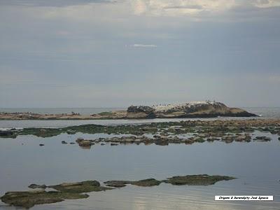 Uruguay. L´apaisement de José Ignacio