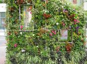 jour flasque avait gagné mur? (Guillevic)