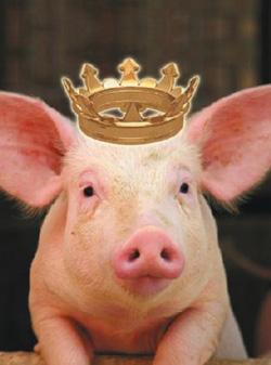 LE  ROI  NU  de Evguéni Schwartz mis en scène par Philippe Awat