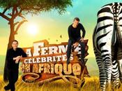 Ferme Célébrités Afrique Francky David clashe