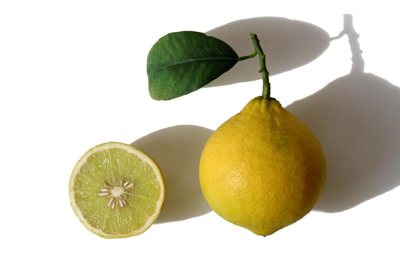 Mellarose lemon limao