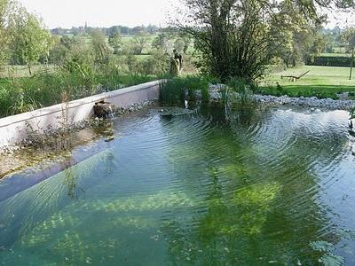 Les piscines écologiques