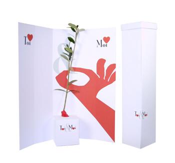 •  Un cadeau écolo : bébé arbre Saint-Valentin !