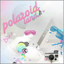 polaroid-land