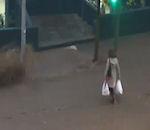vidéo tenerife femme traverse route inondée lampadaire
