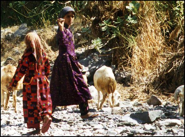 yemen-filles-wadi.1264519835.jpg