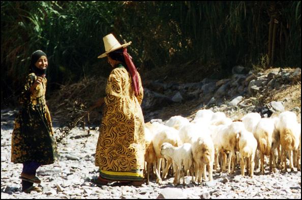 yemen-wadi-femme.1264519900.jpg