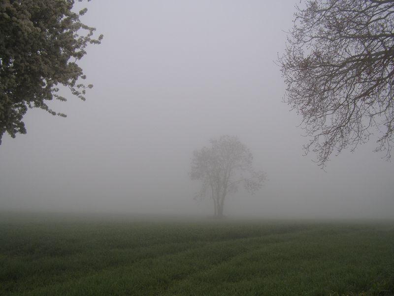 Au fond de la brume (Ozaki Hôsai)