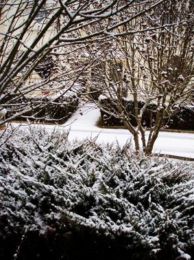 Comme on à rien à dire en ce moment, parlons de la pluie et du beau temps.