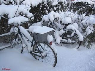 Vélo sur glace