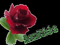 Astuces de chefs a la porte de tous