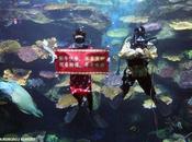 Nouvel Chinois Bangkok tigre dans aquarium
