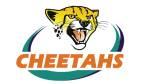 Cheetahs logo