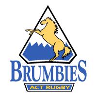 Brumbies-logo