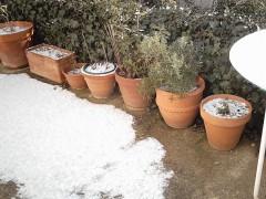 neige 11 fev 10 dim 22 (704 x 528).jpg