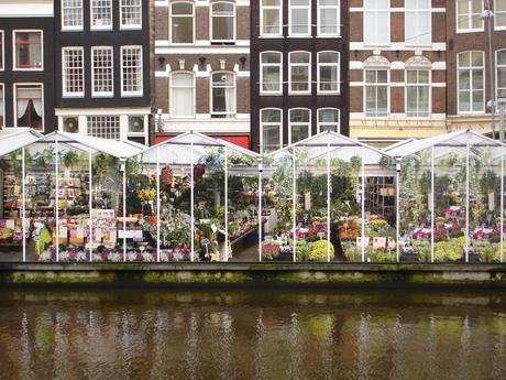 WE break: what to do and see in Amsterdam?
