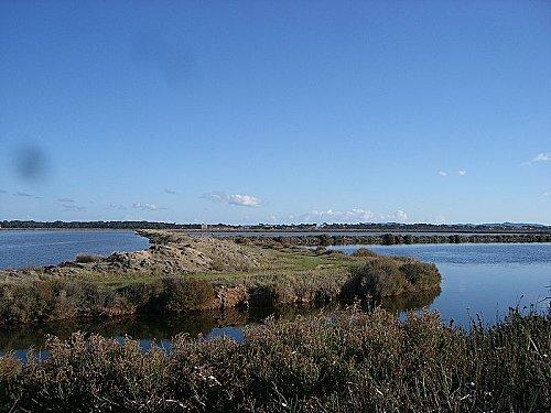 800px-Les_Vieux_Salins_d-27Hy-C3-A8res-1-.jpg