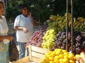 Pachamarket Jeunes Agriculteurs soutiennent vente directe.