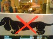 catégorie chien(ne)